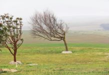 Vento forte deixa Luxemburgo em alerta amarelo esta quinta-feira