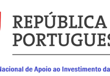 Governo atribui 128 estatutos de Investidor da Diáspora entre candidaturas de 26 países