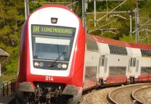 Dudelange: Queda de árvore interrompe ligações ferroviárias