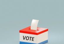 Presidenciais/Covid-19: Emigrantes portugueses apelam a alteração urgente das leis eleitorais devido a limitações