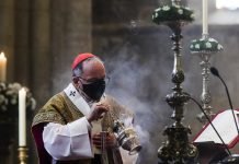 Lisboa: Manuel Clemente defende que “problema ecológico” deve ser “questão prioritária”