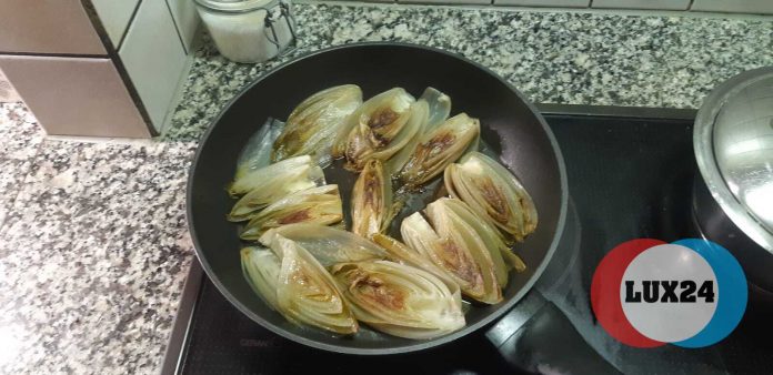 Cozinhando, com Cidália Rodrigues: Endívias gratinadas com fiambre